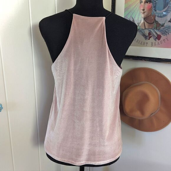 Aqua Sleeveless Rose Quartz Pink Velvet Top M Fairy Coquette Girl Whimsigoth - Picture 6 of 9